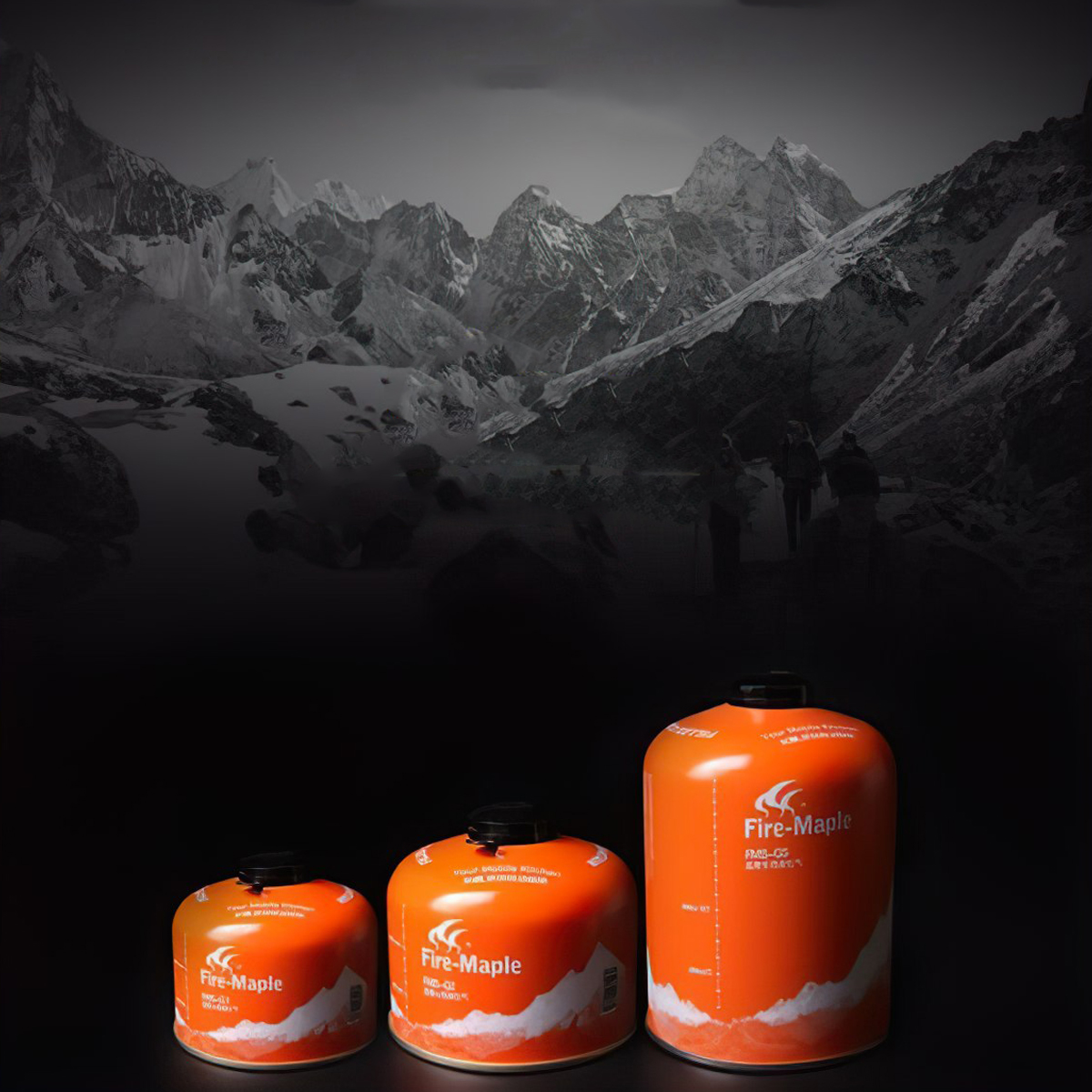 Bình Gas Mini Cắm Trại Fire Maple Fms G5 (450 Gram)