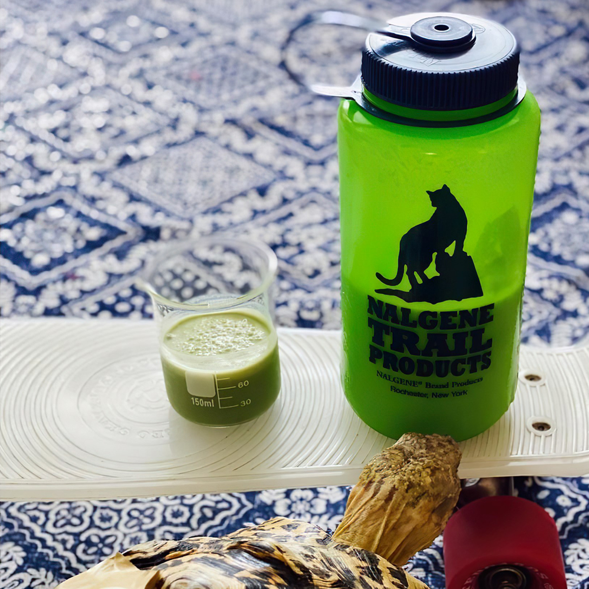 Bình Nước Cắm Trại Nalgene Uvpe Ultralite Wmb 1L