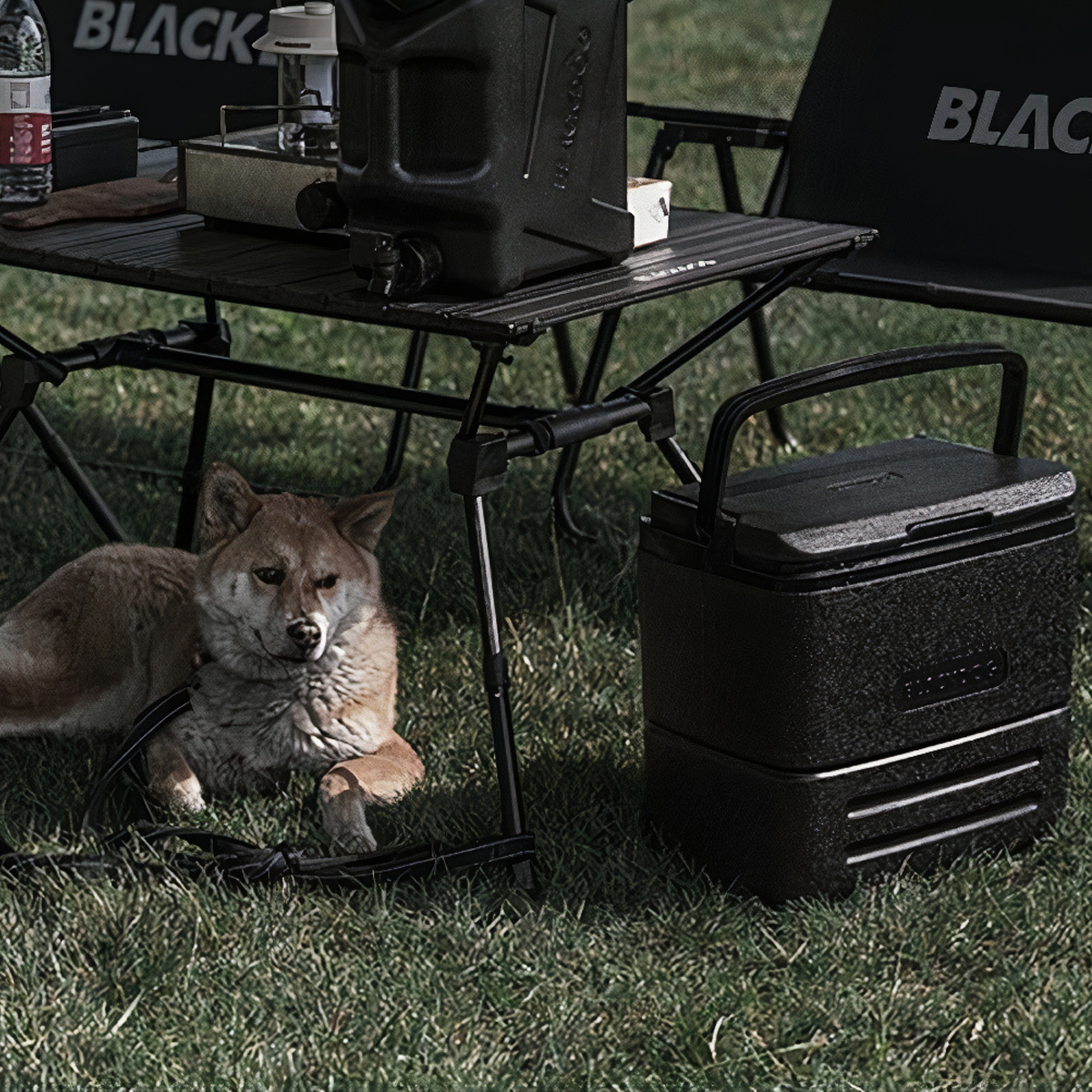 BlackDog Thùng đá giữ lạnh cắm trại 17L