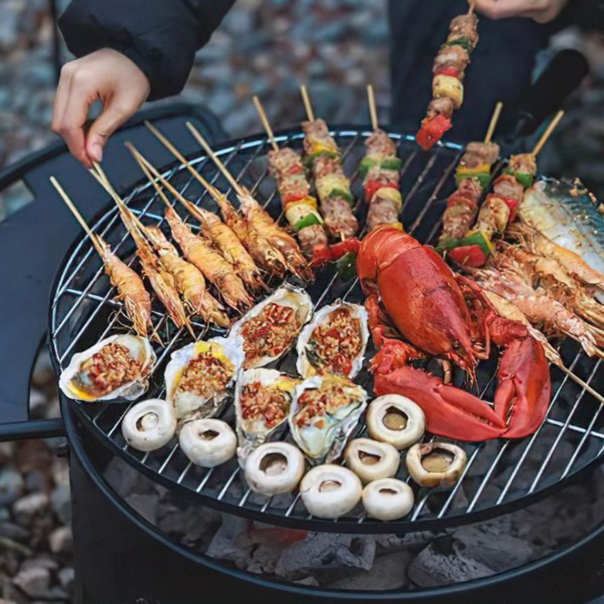 Blackdog BD-SKL002 Bếp Nướng Than Cắm Trại