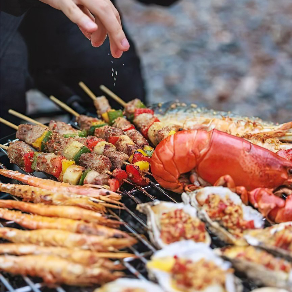 Blackdog BD-SKL002 Bếp Nướng Than Cắm Trại