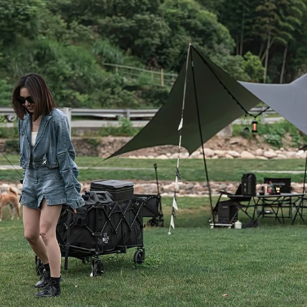 BlackDog BD-TC003 Xe Kéo Cắm Trại Xếp Gọn