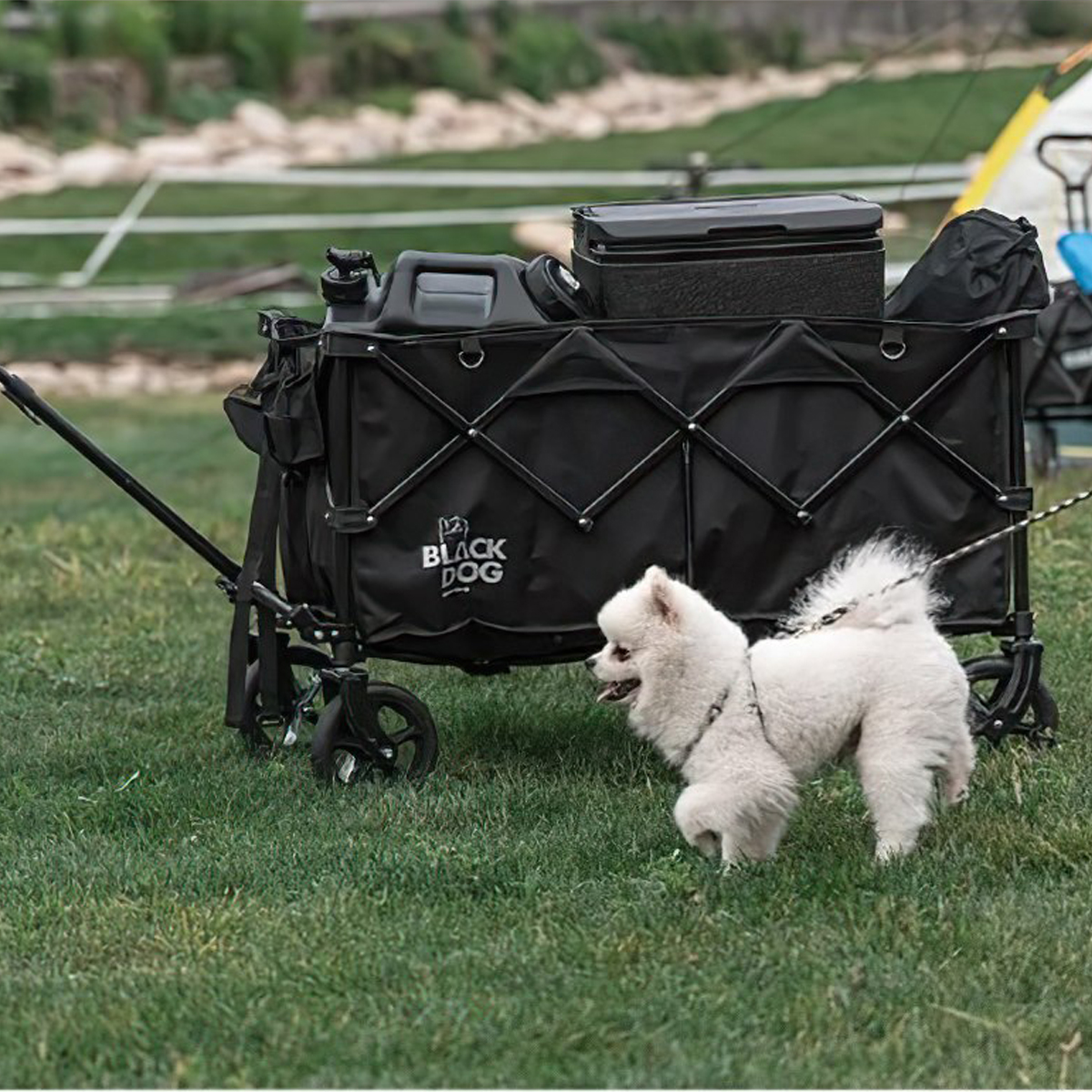 BlackDog BD-TC003 Xe Kéo Cắm Trại Xếp Gọn