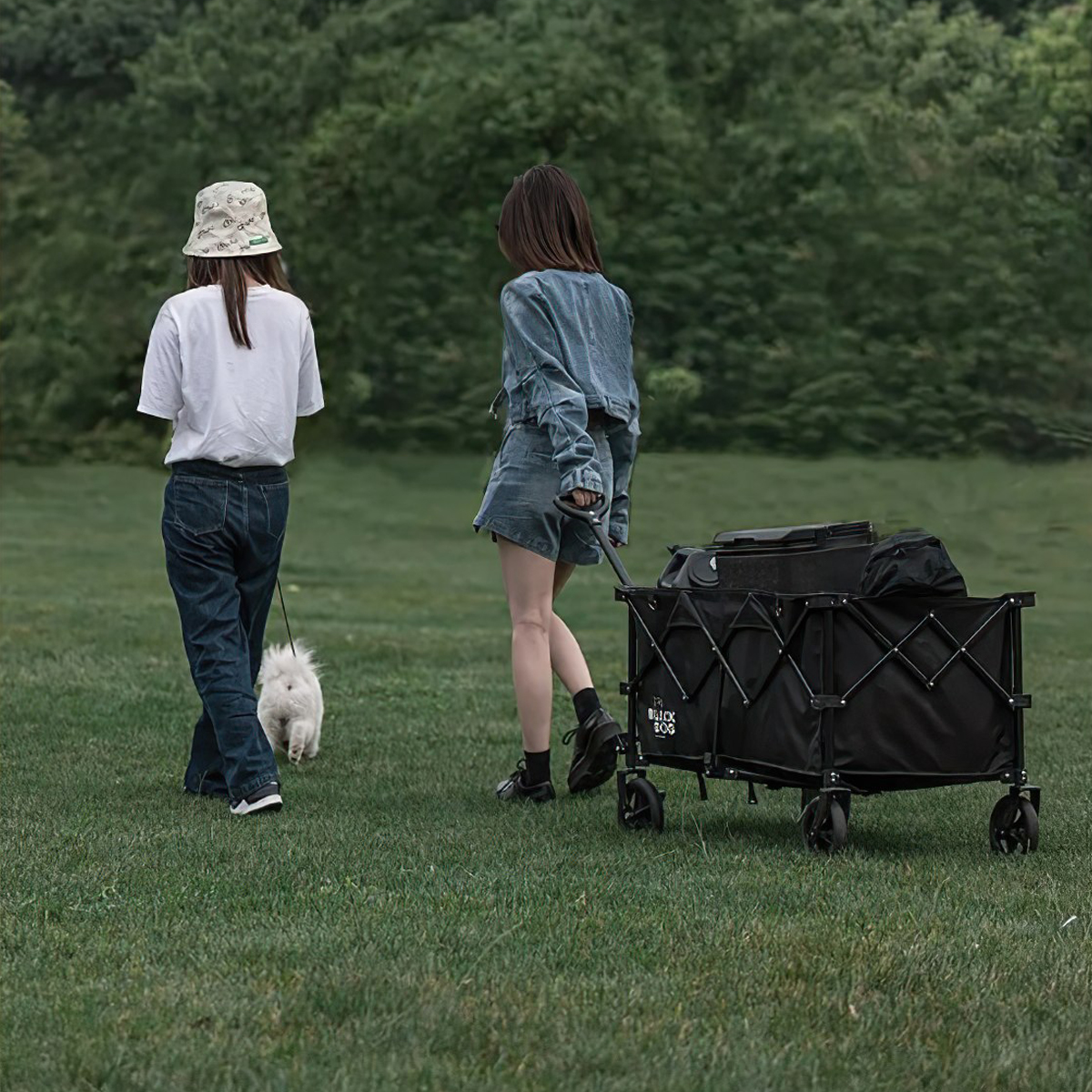 BlackDog BD-TC003 Xe Kéo Cắm Trại Xếp Gọn