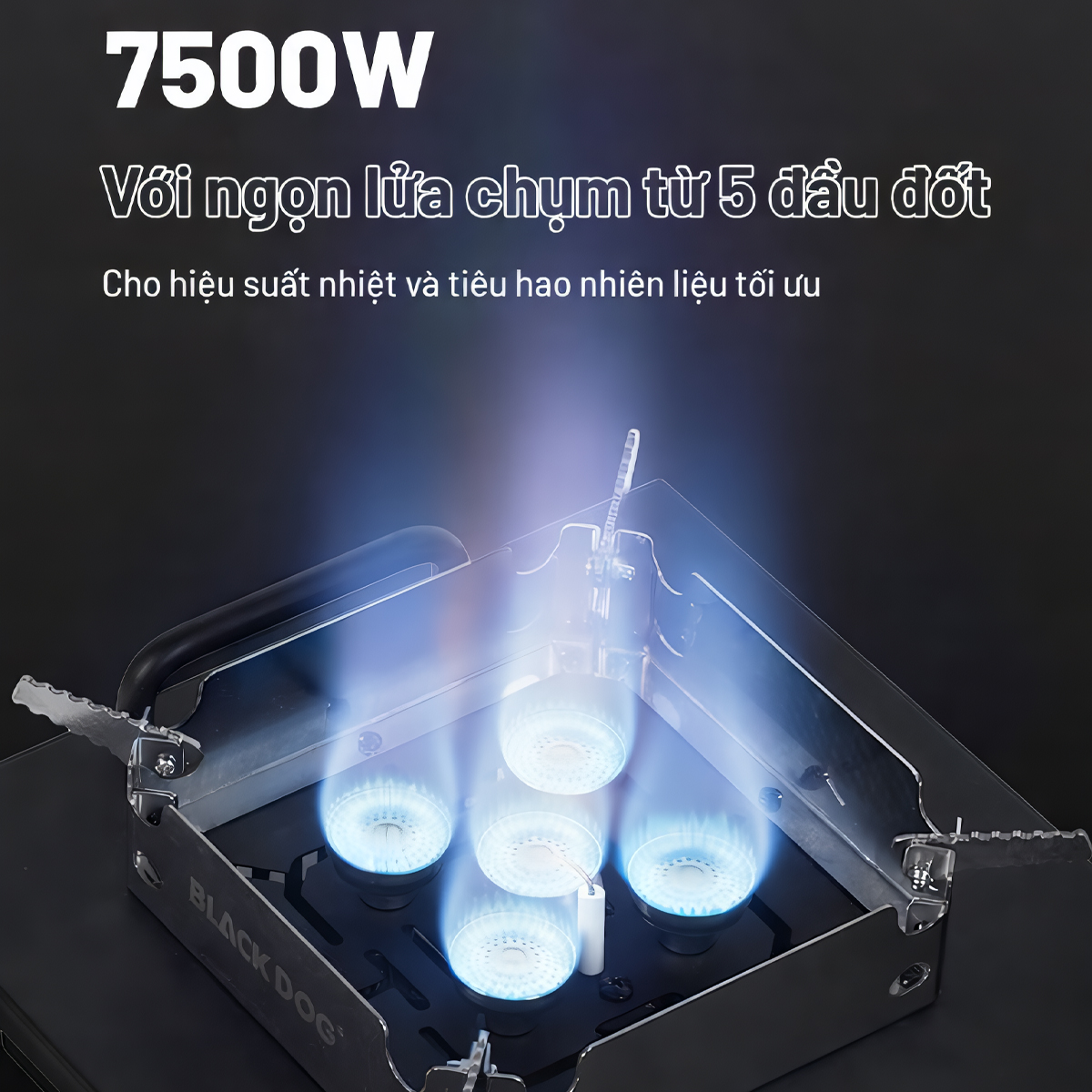 Blackdog Bếp Gas Cắm Trại IGT 5 Đầu đốt 7200W CBD2550CF010
