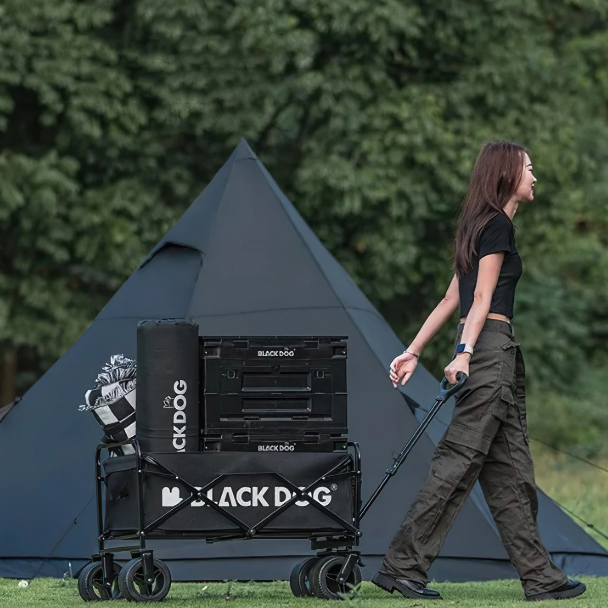 BlackDog CBD2300JJ023 Xe Kéo Cắm Trại Xếp Gọn