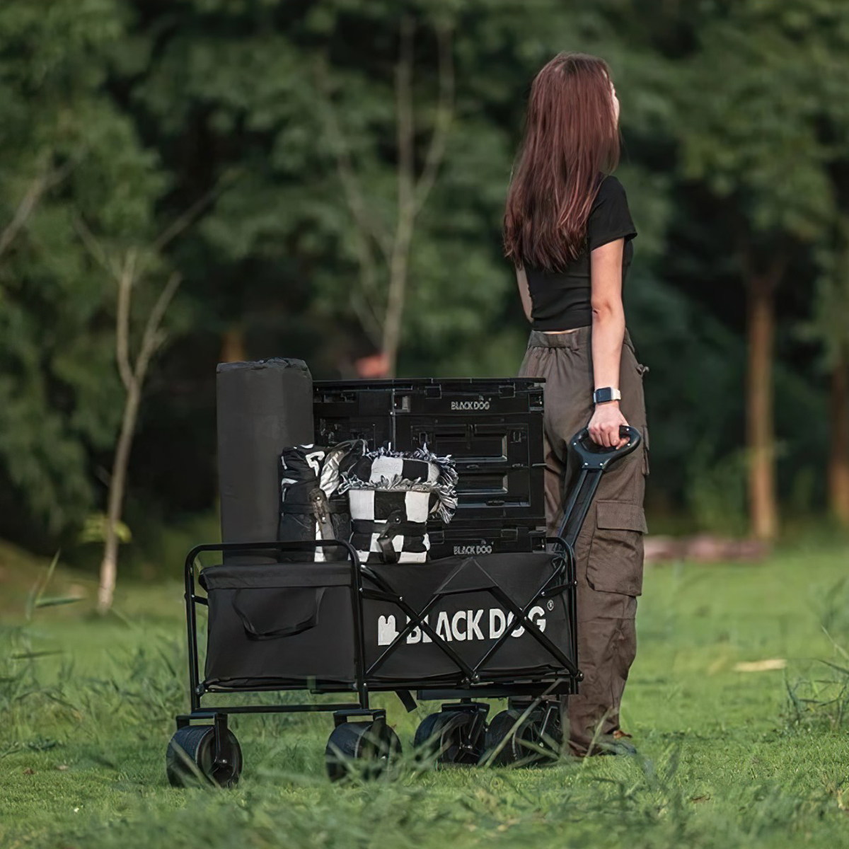 BlackDog CBD2300JJ023 Xe Kéo Cắm Trại Xếp Gọn