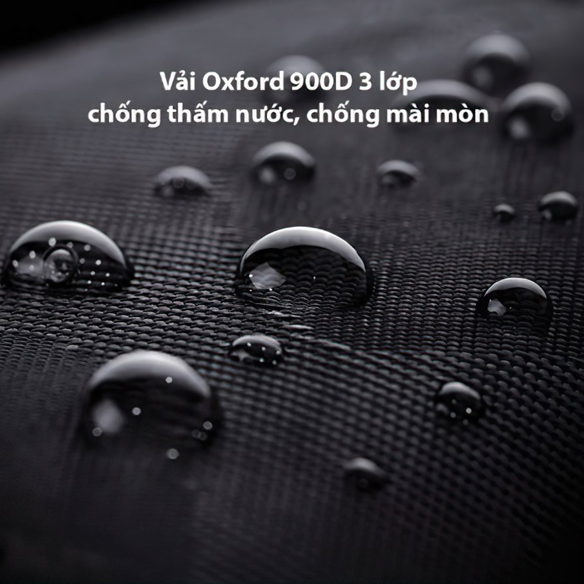 Blackdog CBD2300JJ025 Ghế Mặt Trăng Tựa Lưng Xếp Gọn Cắm Trại Multi gear