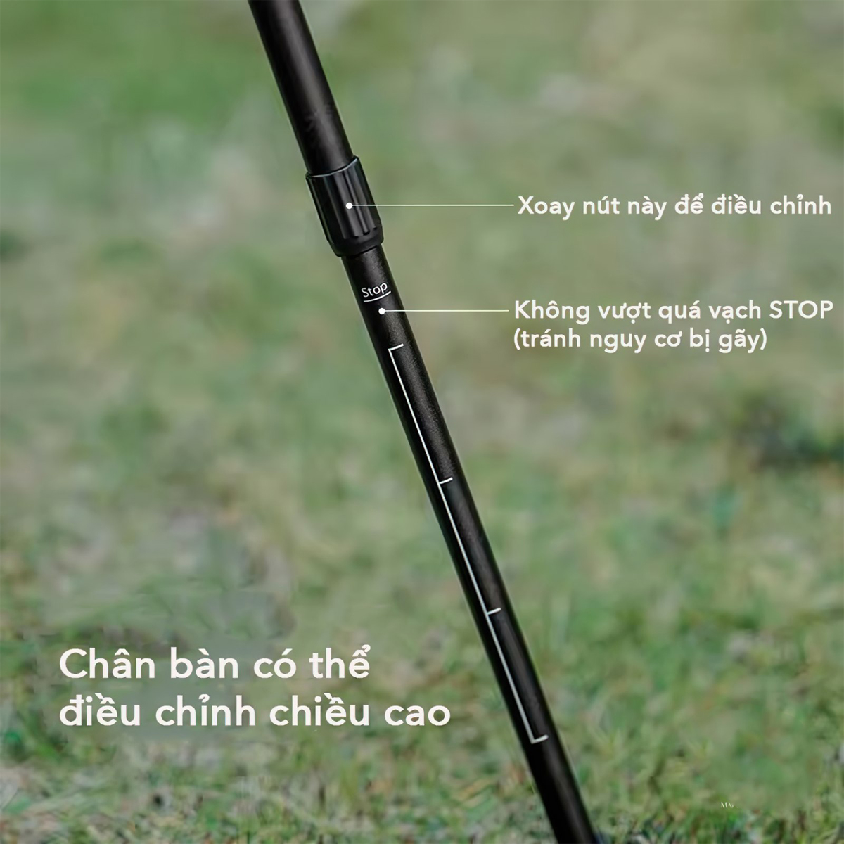 Blackdog CBD2300JJ028 Bàn Tròn Mini Kèm Gậy Treo Đèn Cắm Trại