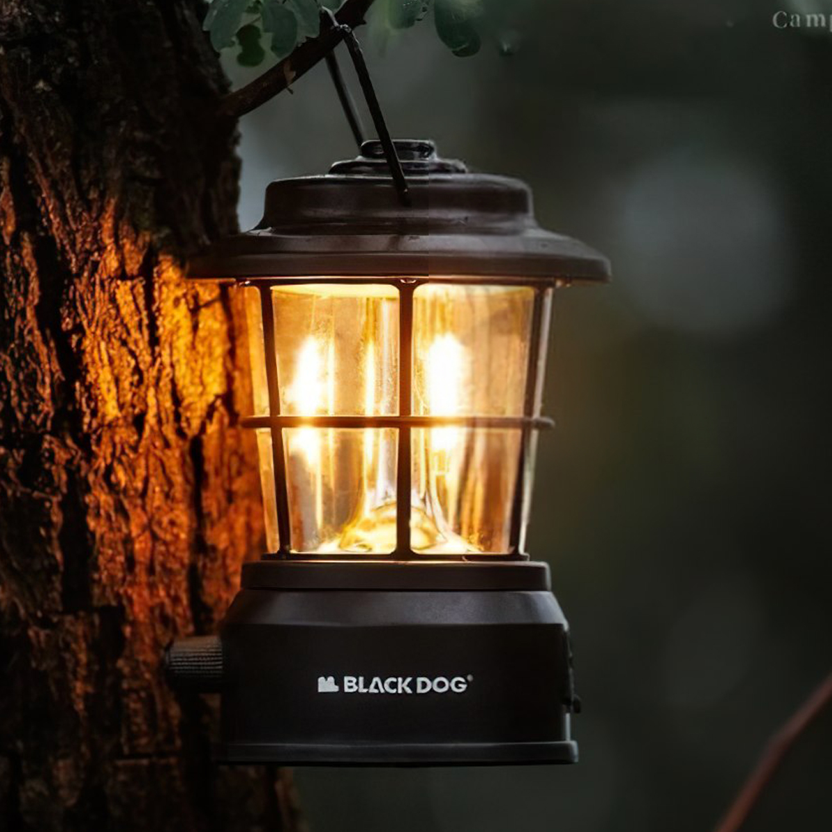 Blackdog CBD2450ZM021 Đèn Bão Cổ Điển Cắm Trại