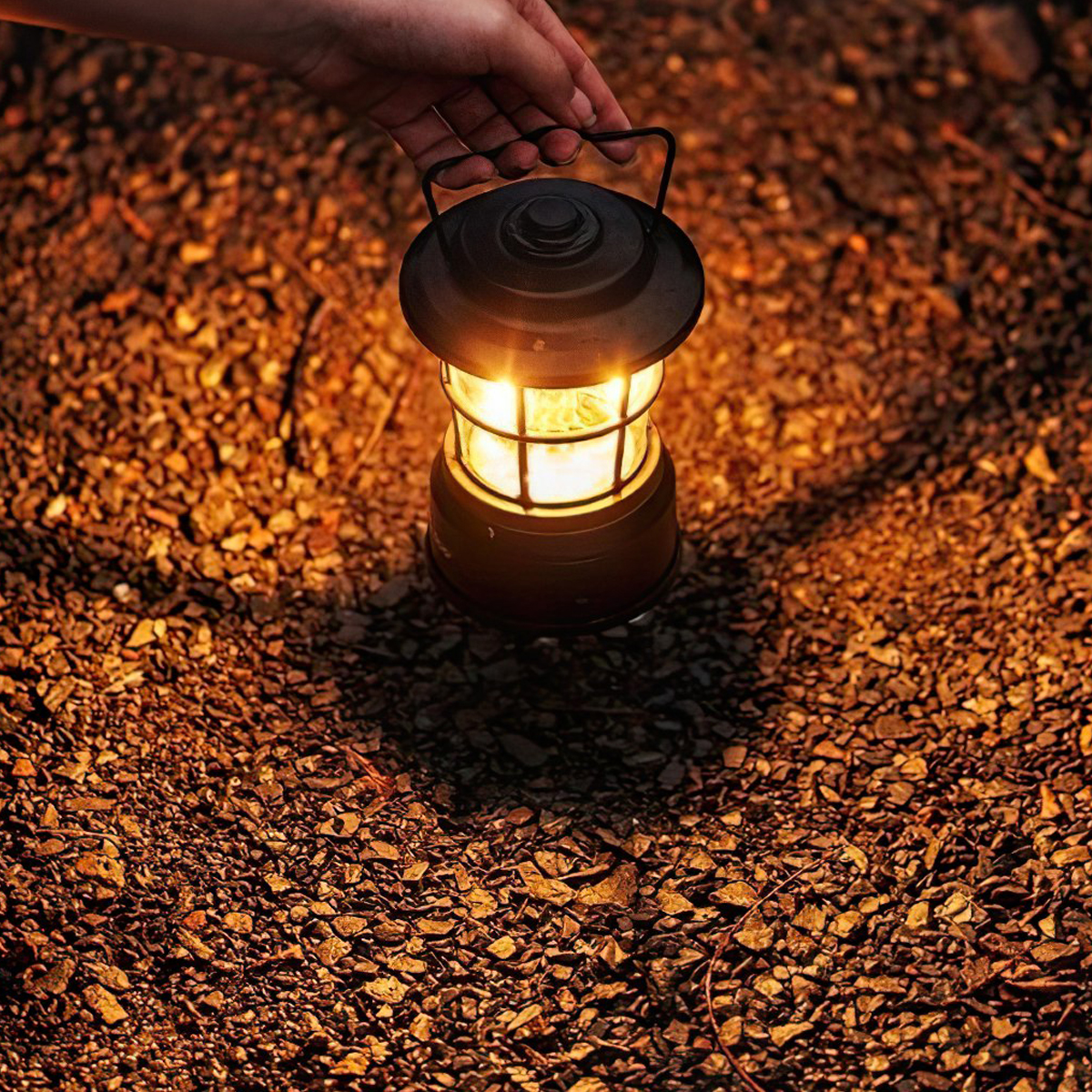 Blackdog CBD2450ZM021 Đèn Bão Cổ Điển Cắm Trại