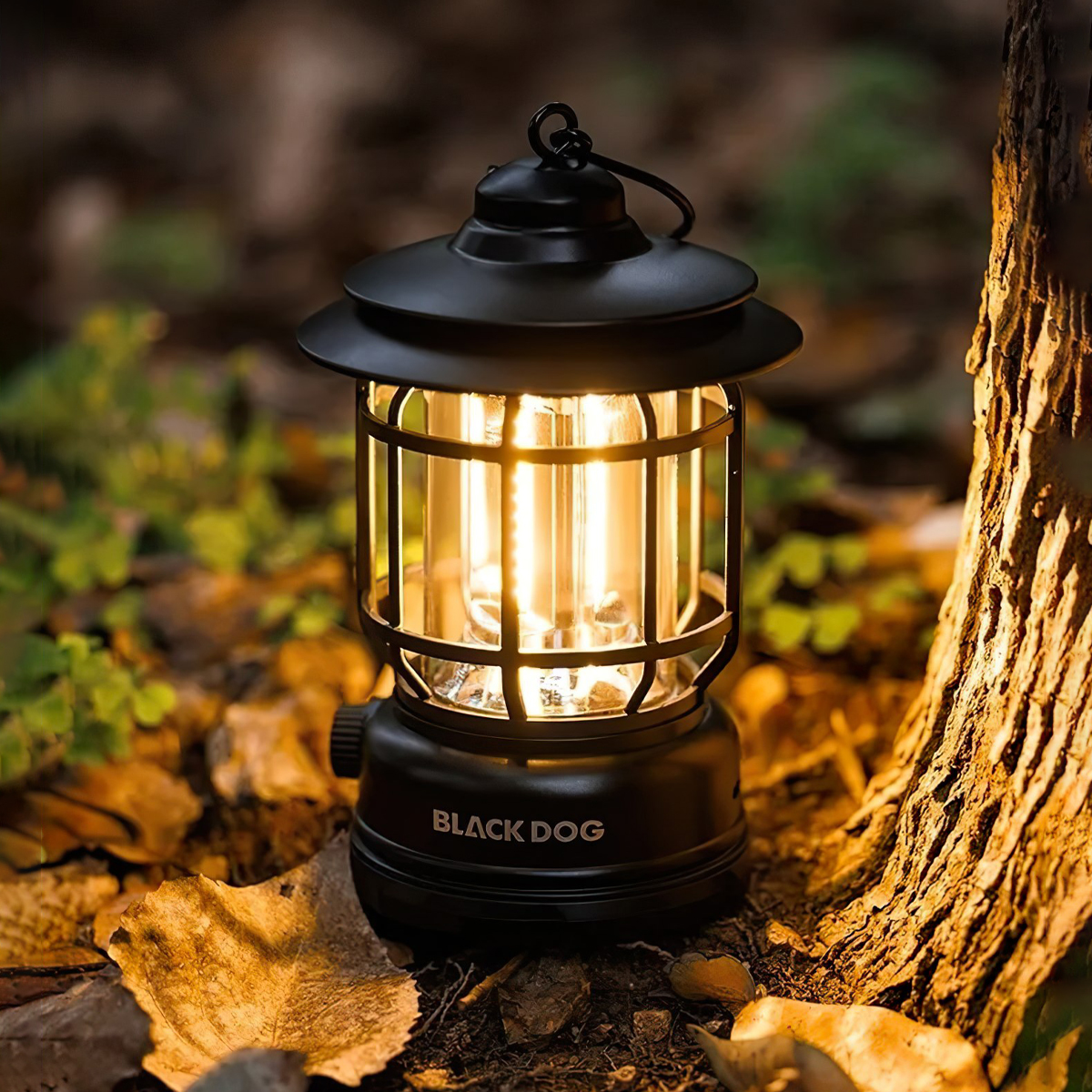 Blackdog Đèn Bão Cắm Trại Dã Ngoại Treo Lều CBD2550ZM043