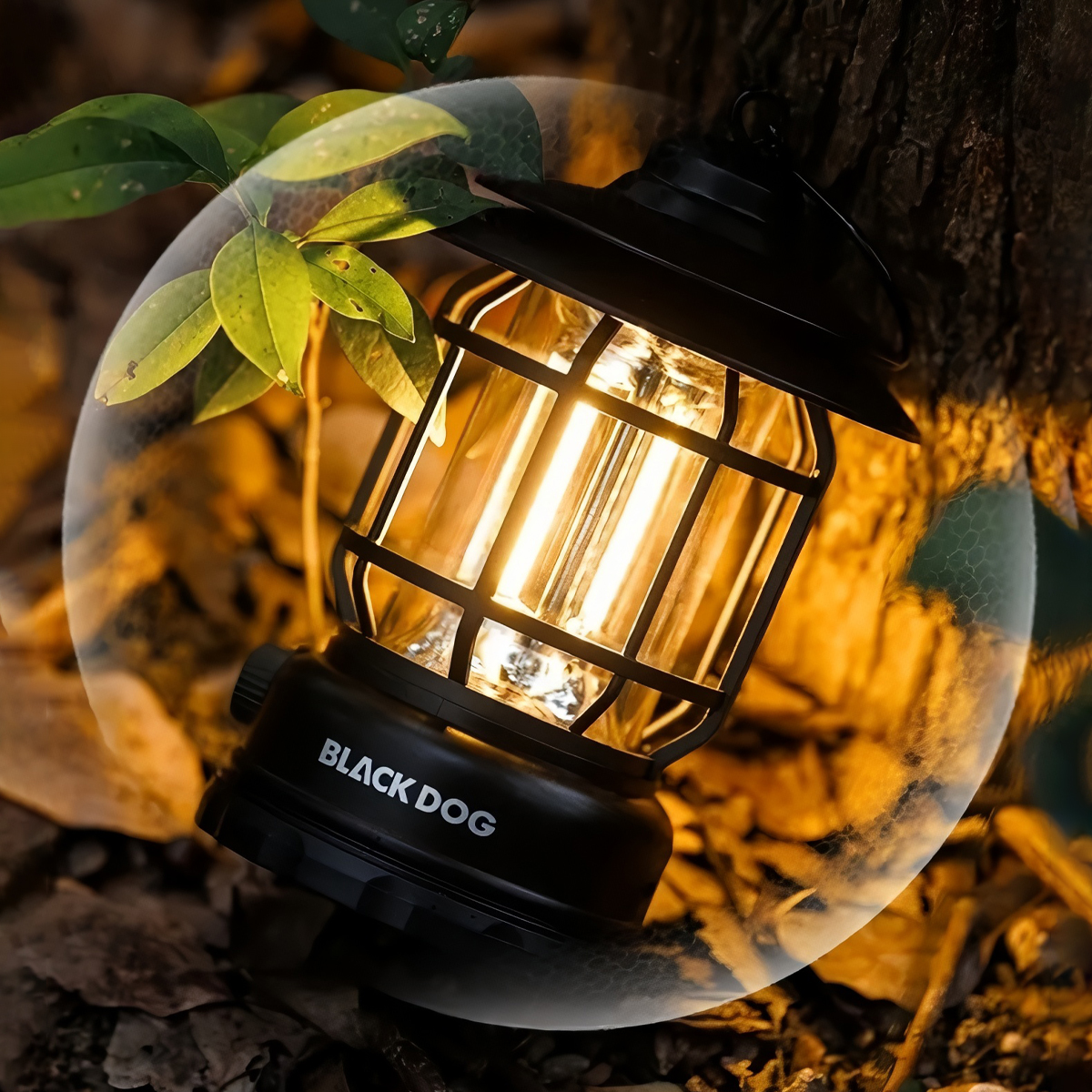 Blackdog Đèn Bão Cắm Trại Dã Ngoại Treo Lều CBD2550ZM043