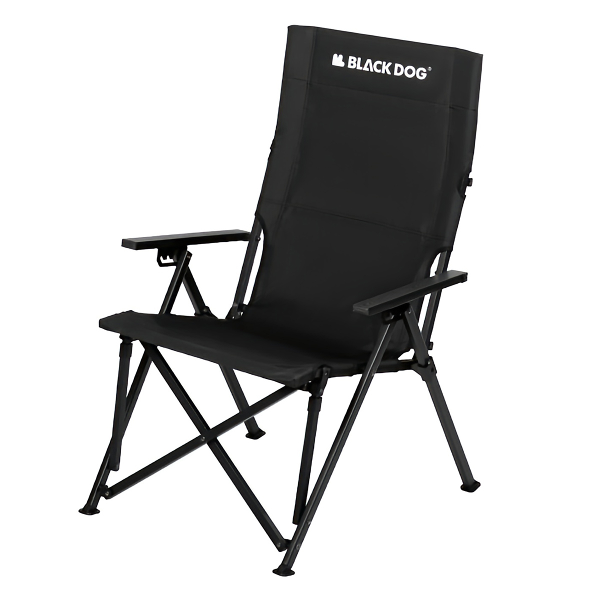 Blackdog Ghế Cắm Trại Gấp Gọn Lưng Cao Tựa Đầu CBD2450JJ042