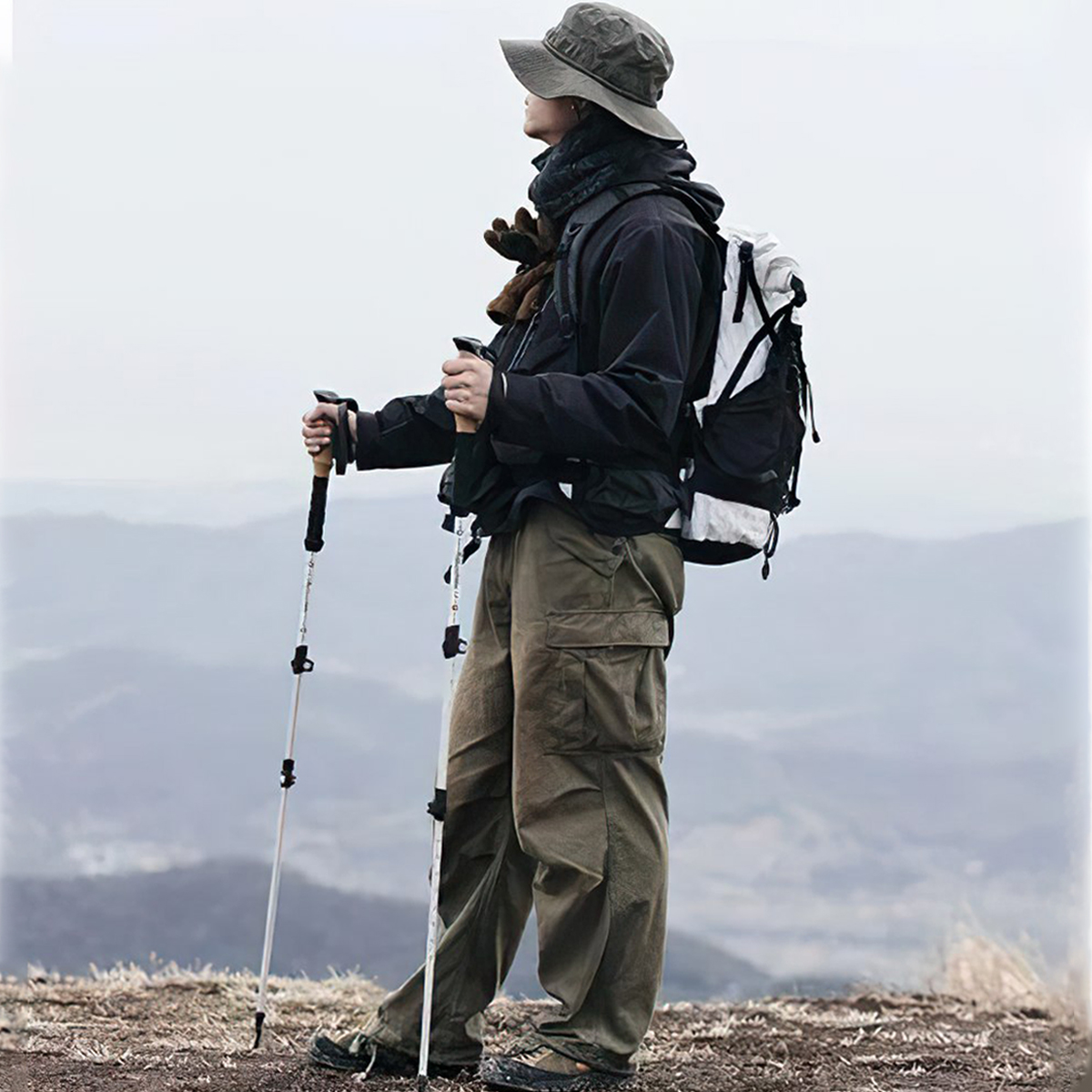 Bộ 2 Gậy Leo Núi Rút Gọn Nhôm 7075 Naturehike