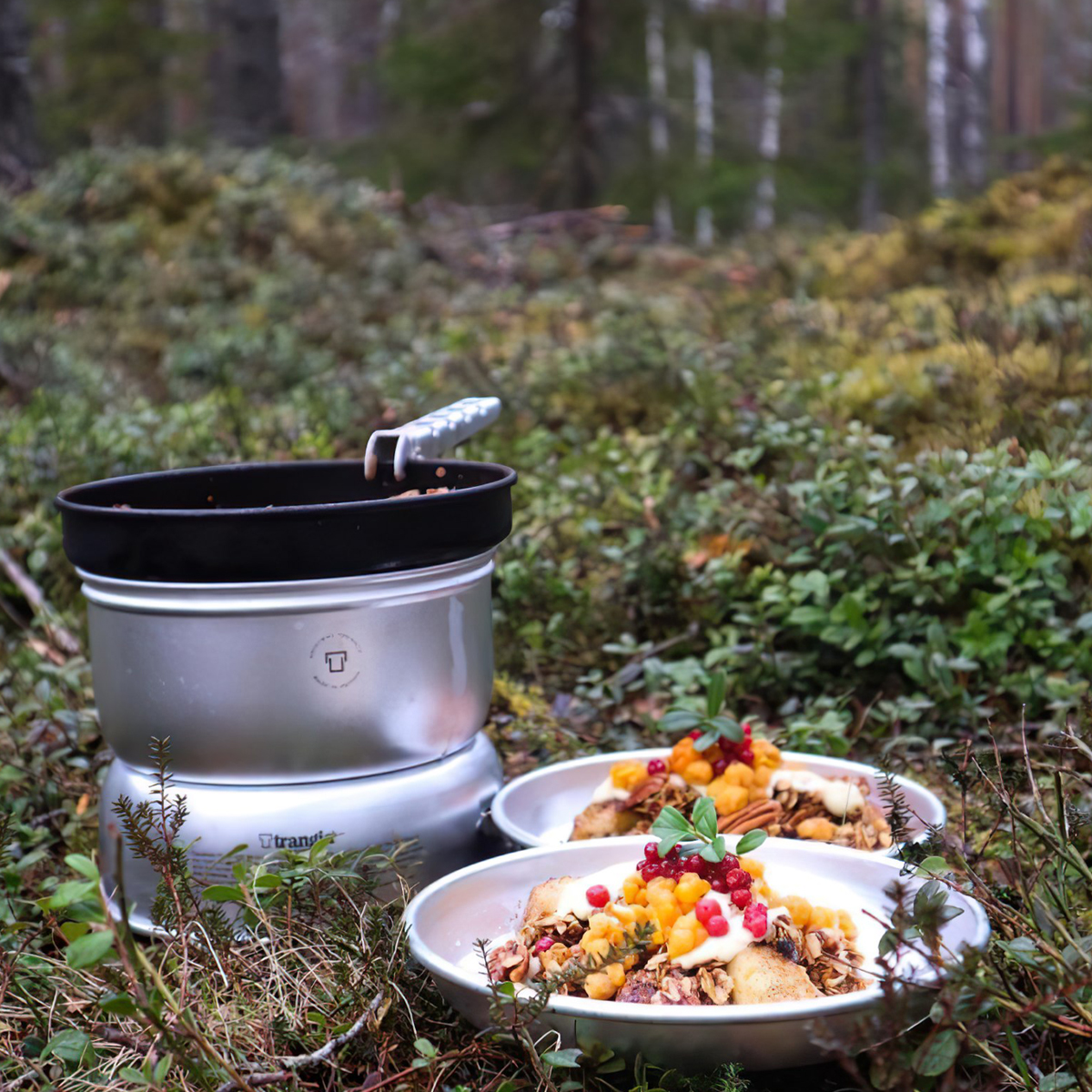 Bộ Bếp Cắm Trại Trangia Storm Cooker 25-6 Ul