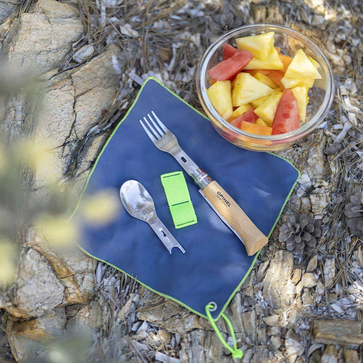 Bộ Dao Muỗng Nĩa Cắm Trại Opinel Picnic+ No.8