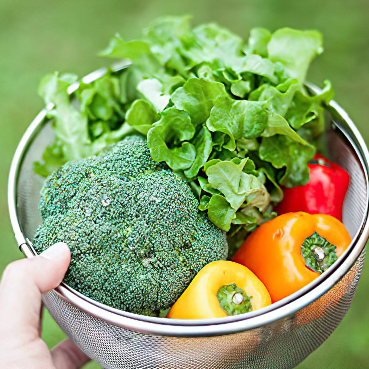 Bộ Nồi Nấu Cắm Trại Du Lịch Snowpeak Field Cooker Pro.3