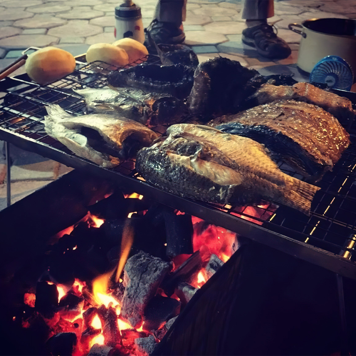 Campingmoon T-230A-2T Kệ Đôi Inox Để Đồ Dã Ngoại