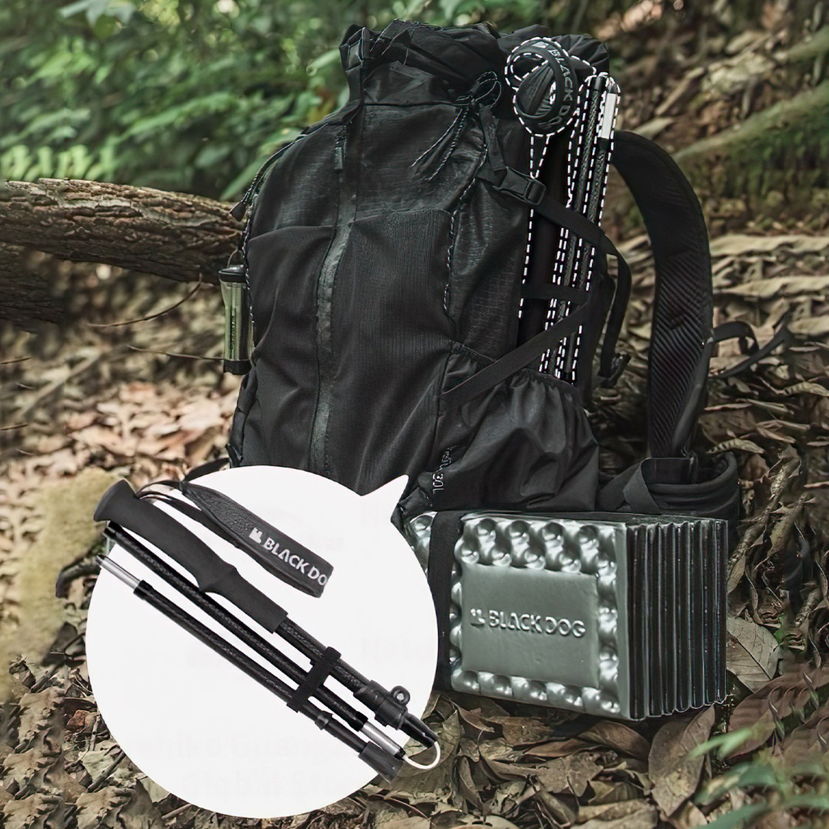 Blackdog Gậy Chạy Trail Leo Núi Carbon CBD2450DS011