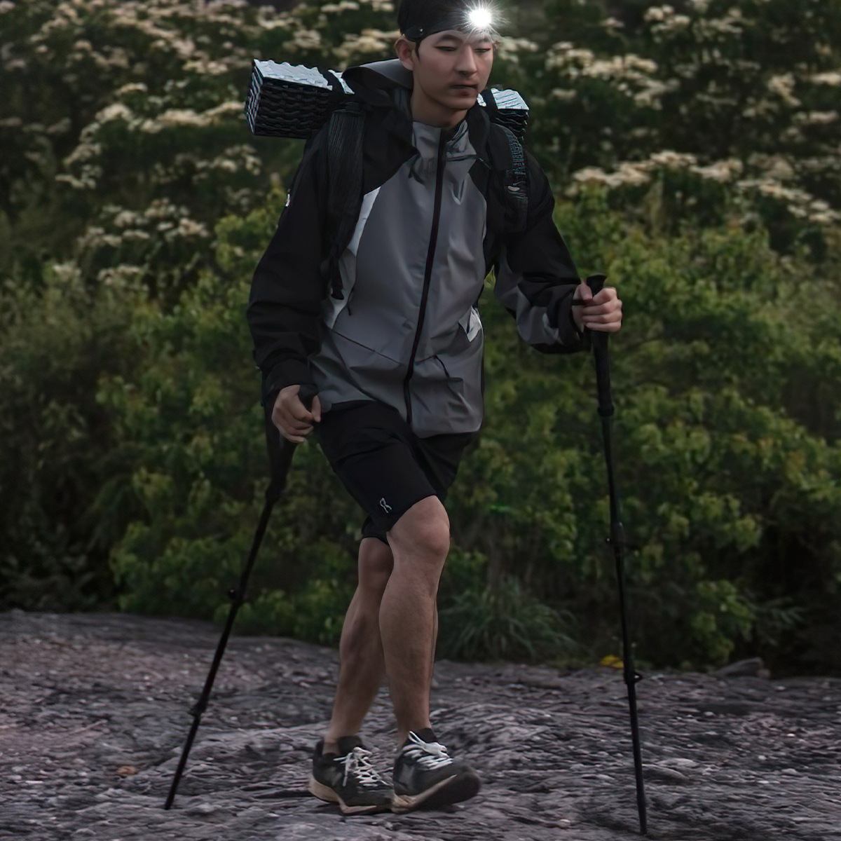 Blackdog Gậy Chạy Trail Leo Núi Carbon CBD2450DS011