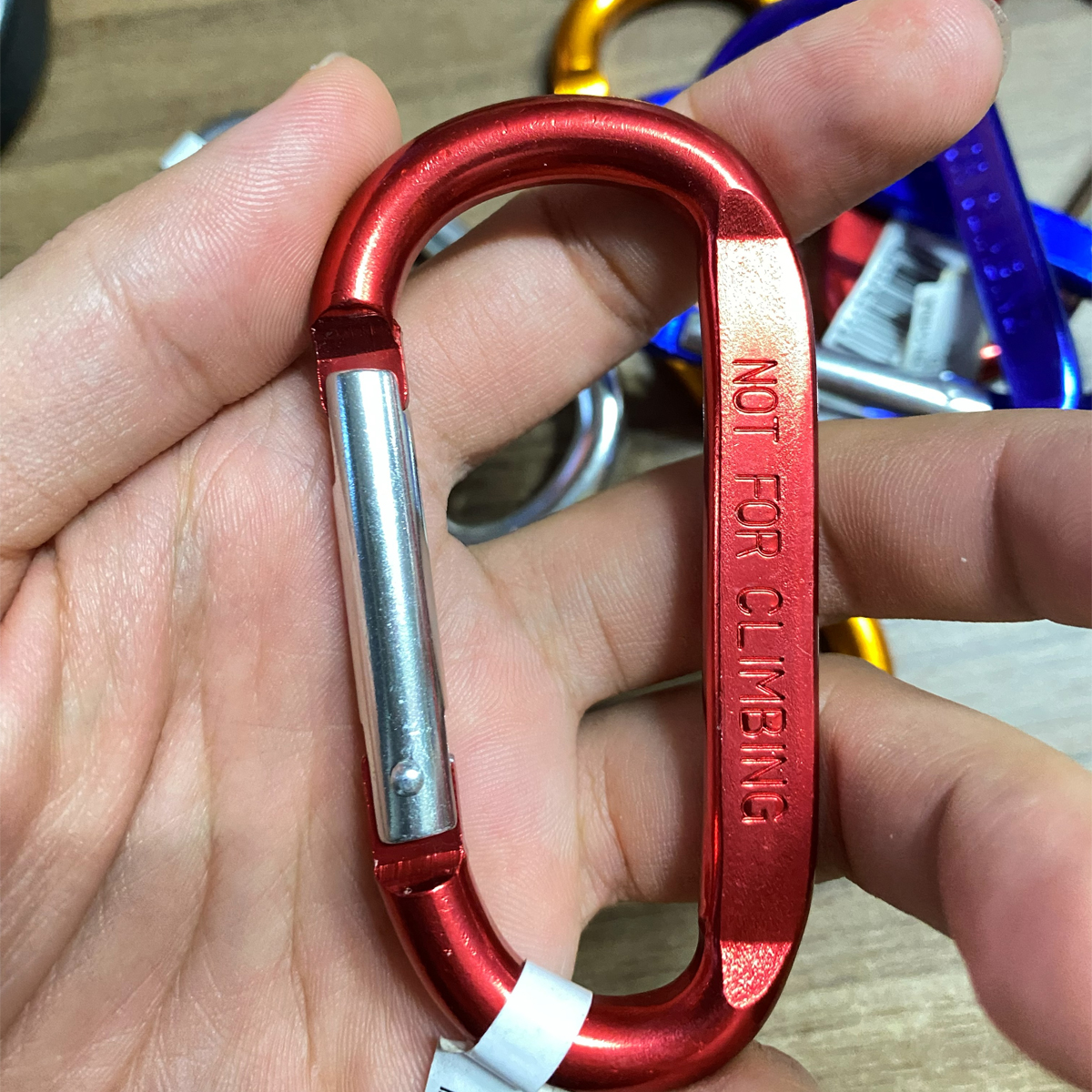 Tay người cầm hai móc khóa carabiner Coghlans màu đỏ và xanh dương