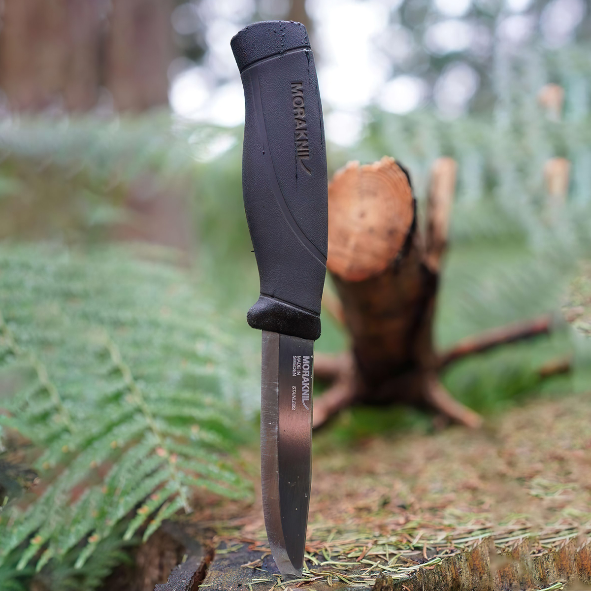 Dao Cắm Trại Morakniv Companion HeavyDuty Stainless Steel