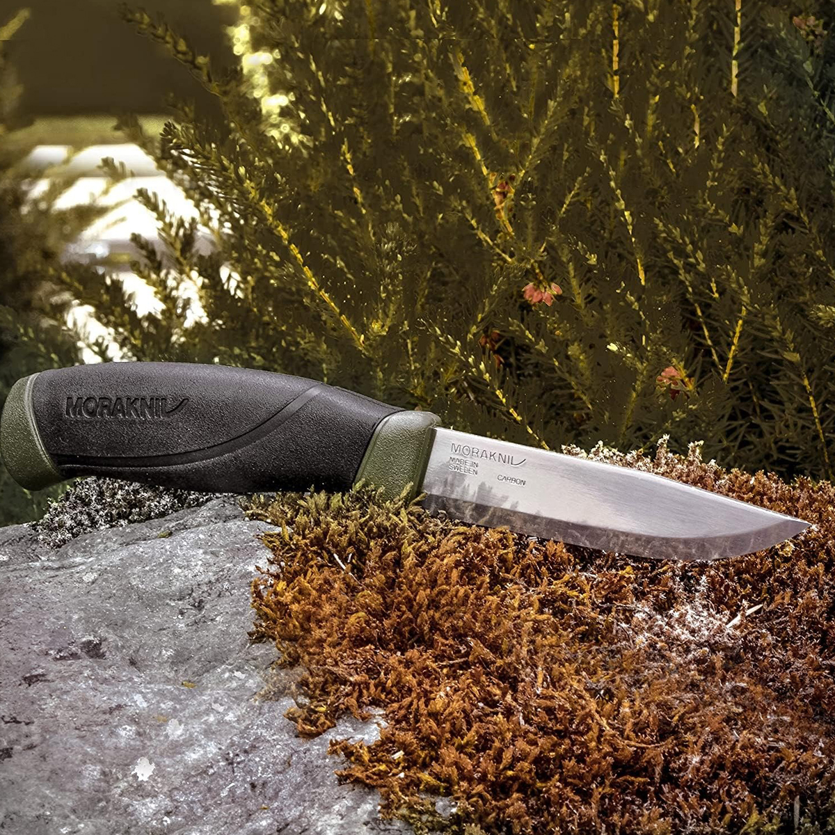Dao Morakniv Companion MG Carbon Steel