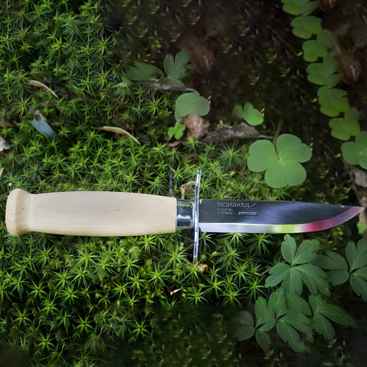 Dao Morakniv Scout 39 Stainless Steel