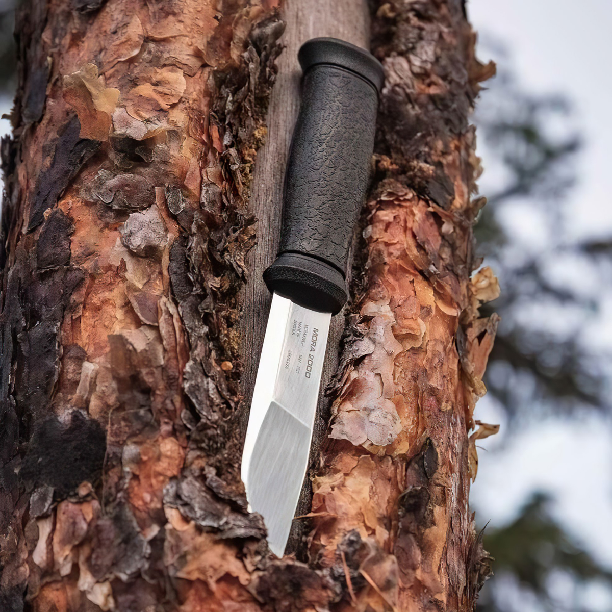 Dao Morakniv Mora 2000 Anniversary Edition (S)