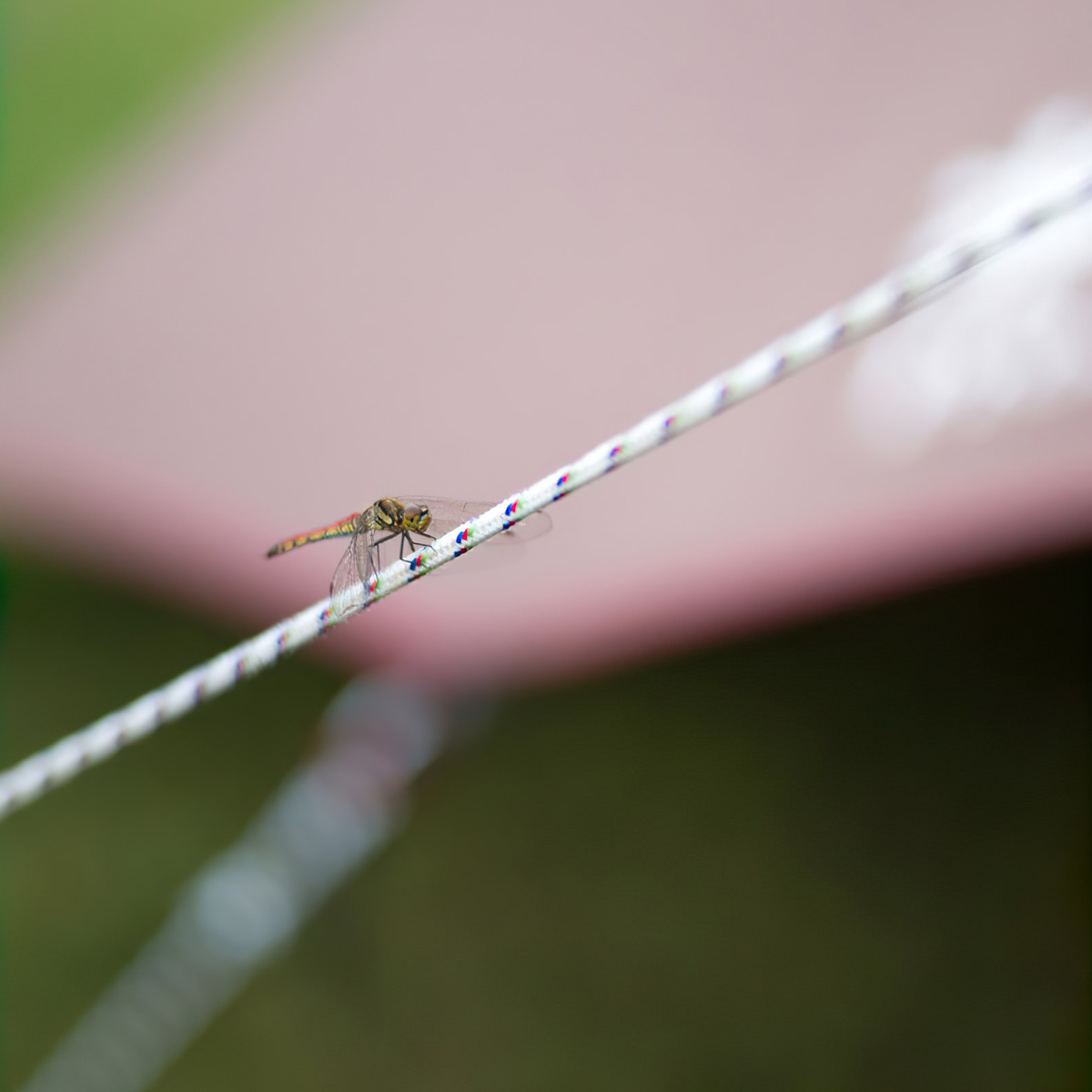 Dây Buộc Cắm Trại Du Lịch Snowpeak Polypropylene Rope Pro. 3-4mm