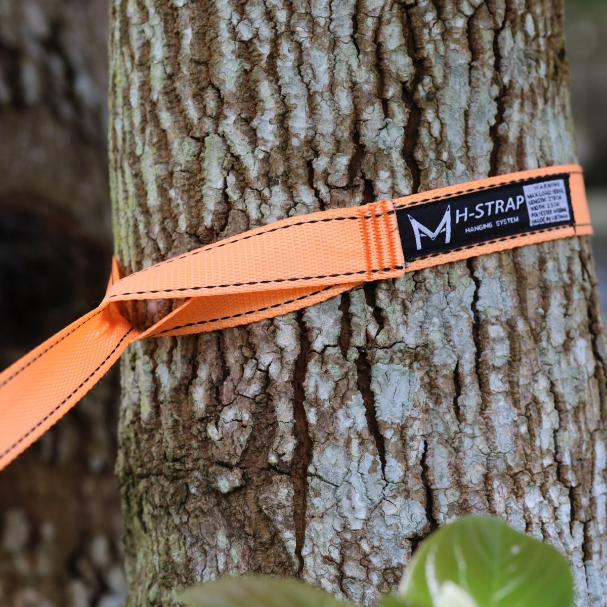 Dây Mắc Võng Dã Ngoại Madfox H-Strap Hanging System MF-HSTRAP