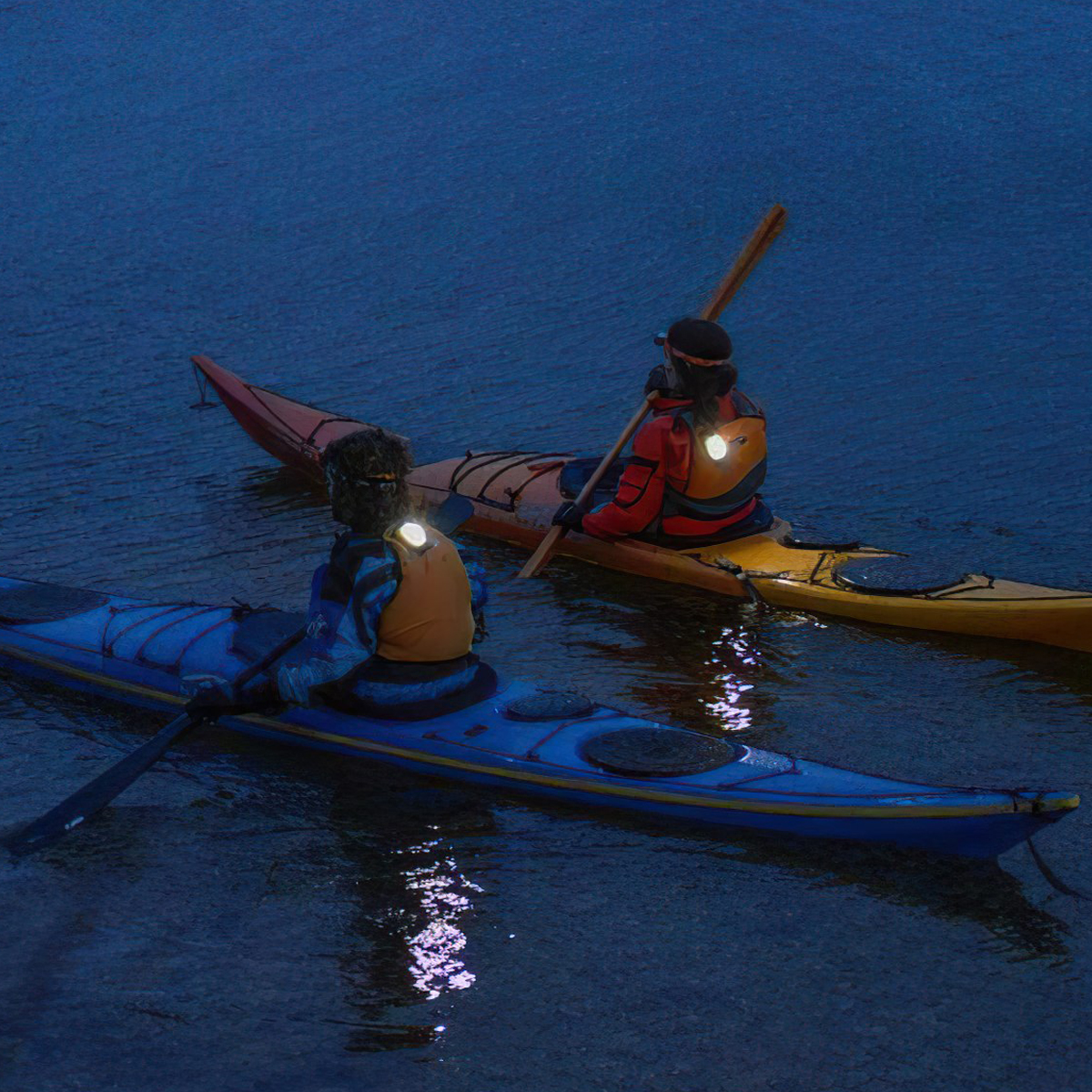 Đèn Báo Định Vị Princeton Tec Meridian Strobe/Beacon Light