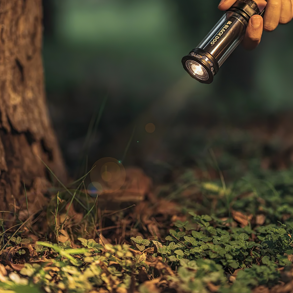 Blackdog Đèn Cắm Trại Starfire Mini Latern