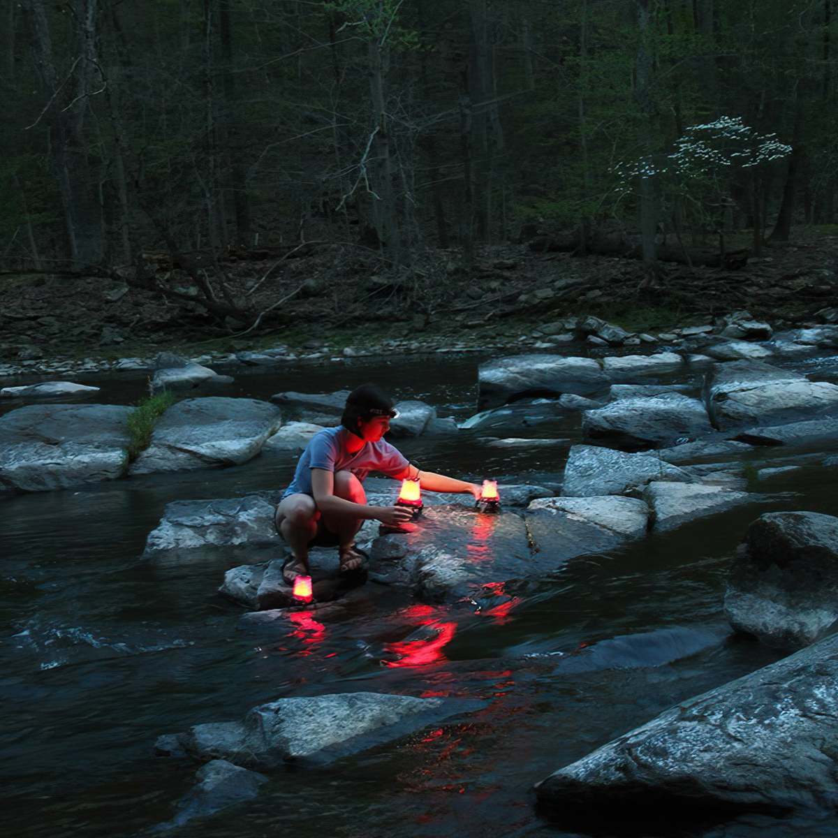 Đèn Đuốc Cắm Trại Princeton Tec Helix Basecamp Led Lantern Hx2-Bk