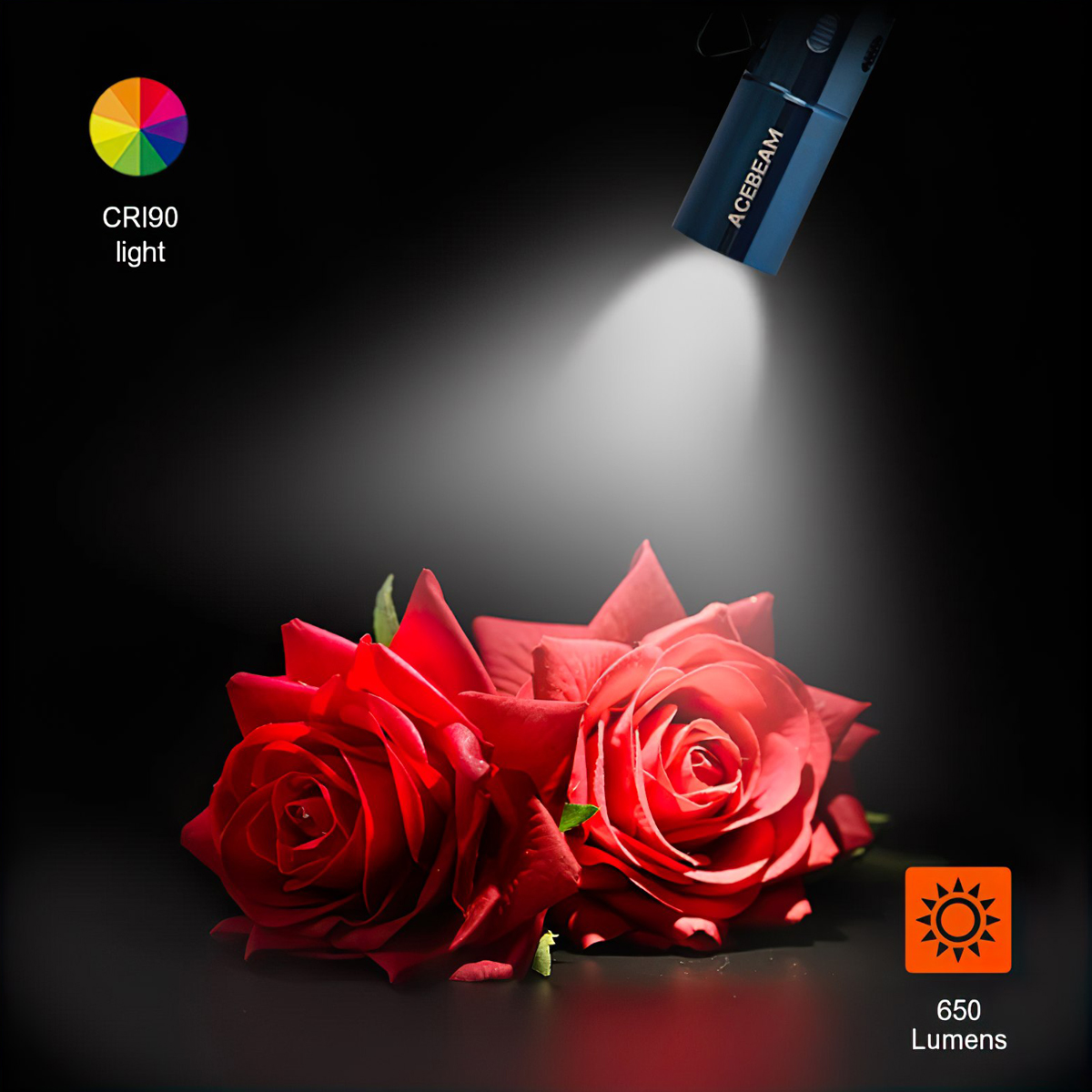 Đèn Pin Cắm Trại Du Lịch ACEBEAM RIDER RX BLUE Độ Sáng 650 Lumen Chiếu Xa 96M