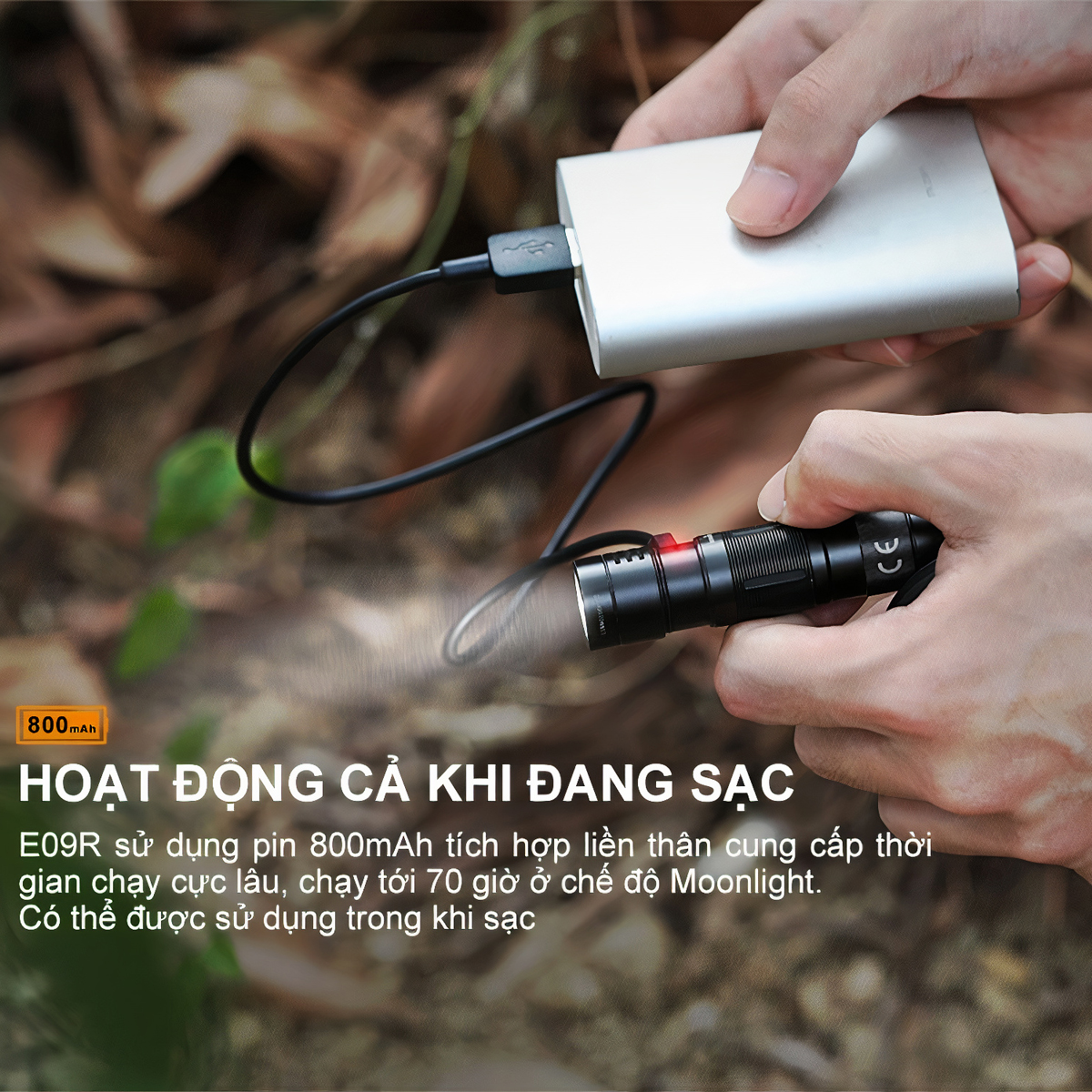 FENIX E09R Đèn Pin Móc Khóa Độ Sáng 600lm