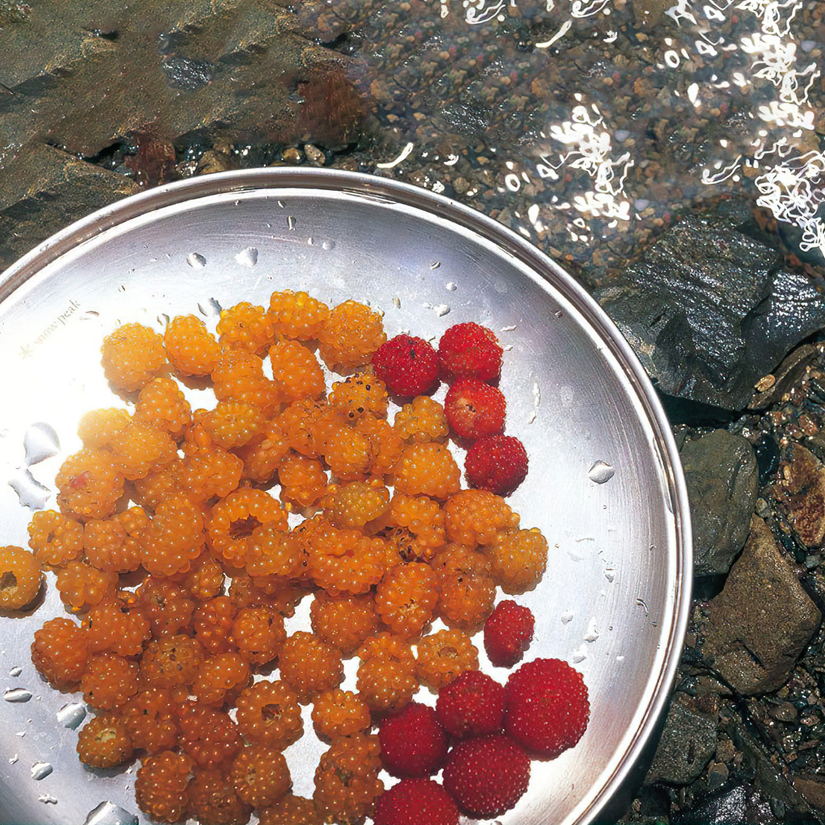 Đĩa Cắm Trại Du Lịch Snowpeak Tableware Plate L