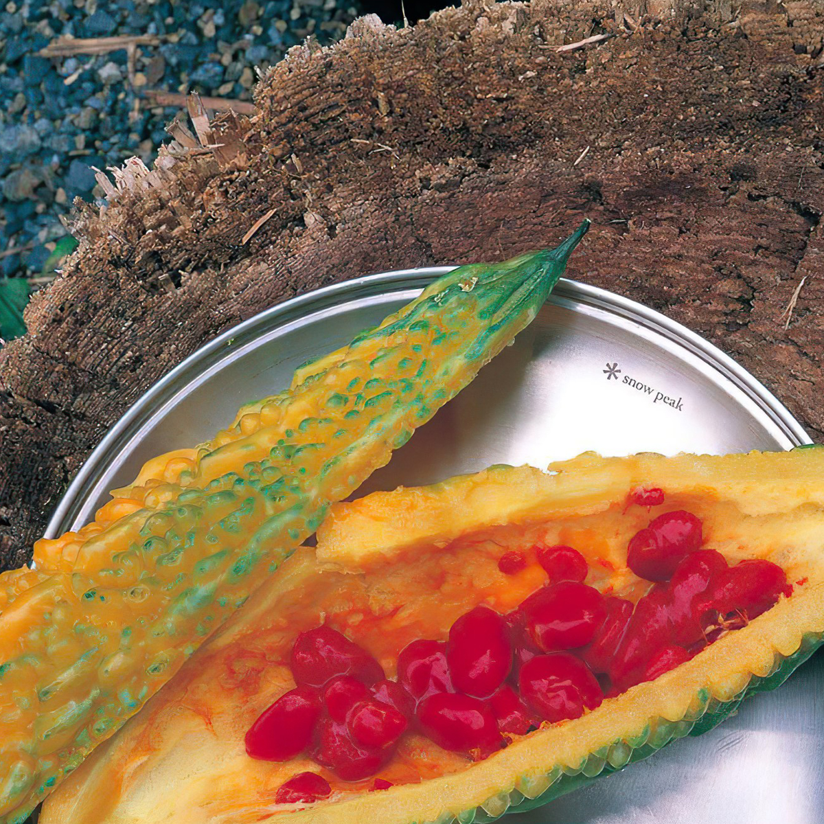 Đĩa Cắm Trại Du Lịch Snowpeak Tableware Plate L