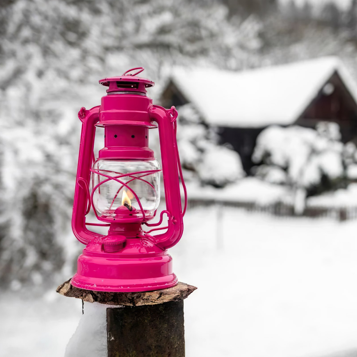 Feuerhands Đèn bão - Đèn Dầu Hurricane Lantern Baby Special 276 - Telemagenta