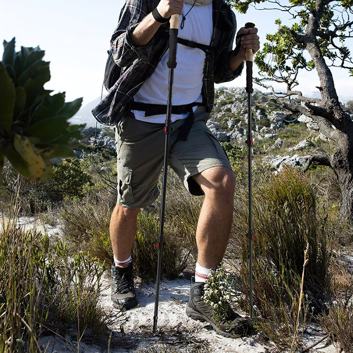 Gậy Leo Núi Bằng Sợi Carbon Naturehike (1 cặp)