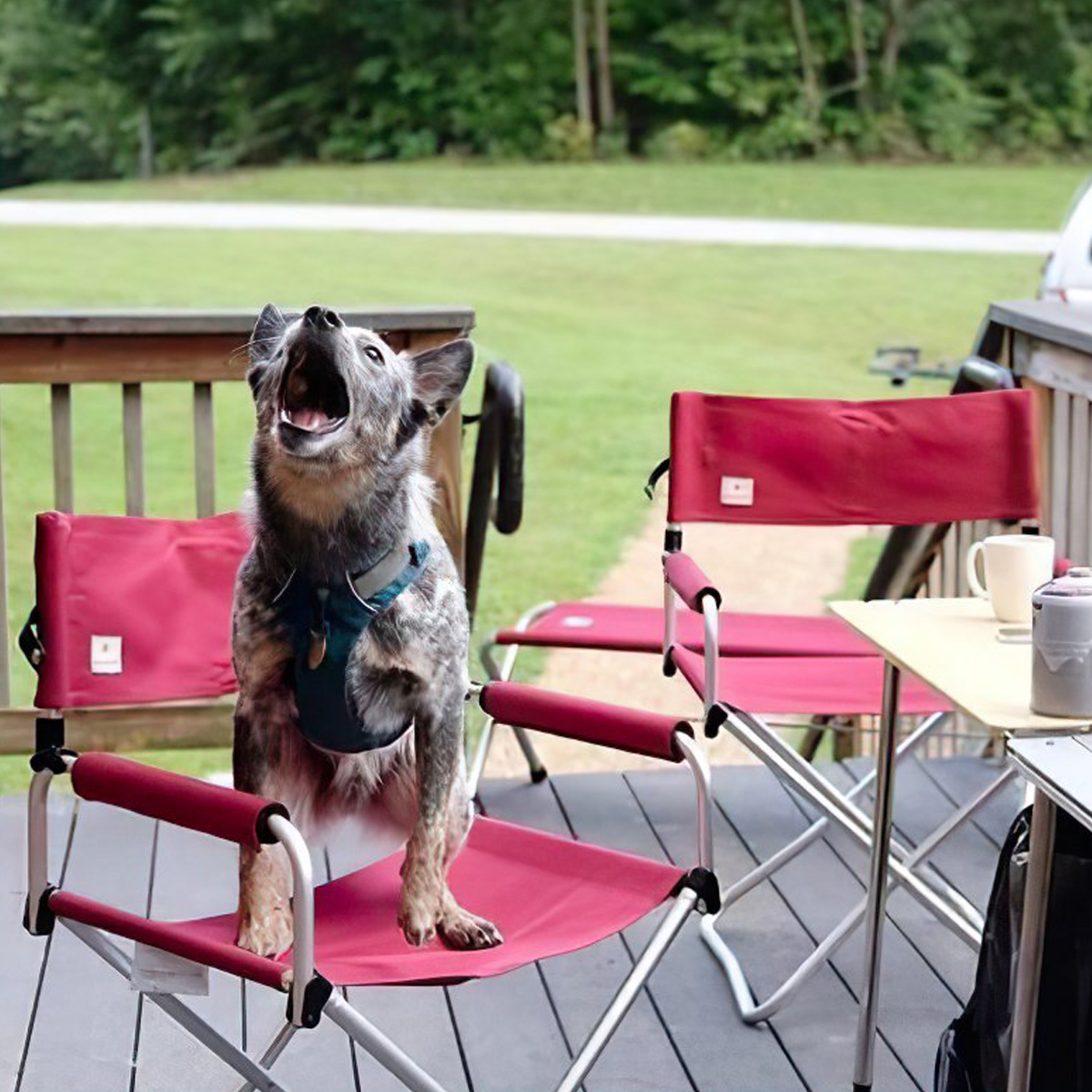 Ghế Cắm Trại Du Lịch Snowpeak Fd Chair Wide Rd