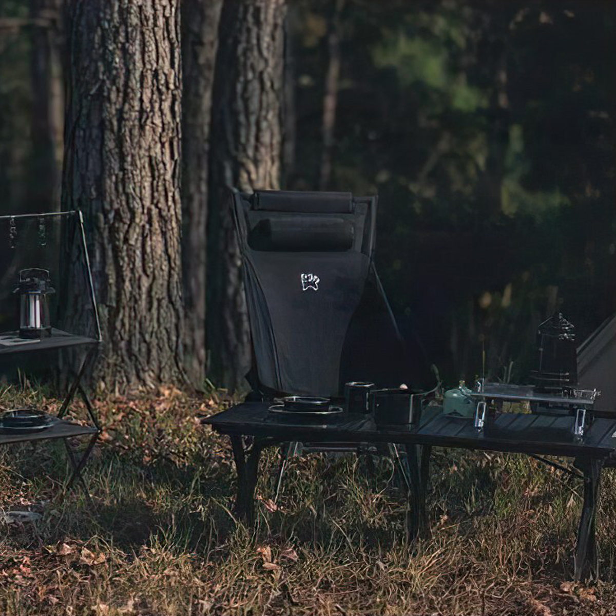 Ghế Cắm Trại Xếp Gọn Tựa Đầu Blackdog