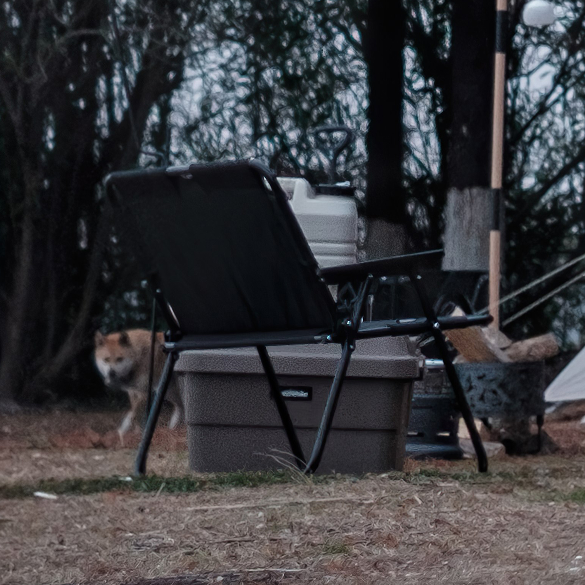 Ghế Đôi Cắm Trại Du Lịch Xếp Gọn Blackdog Double Folding Chair