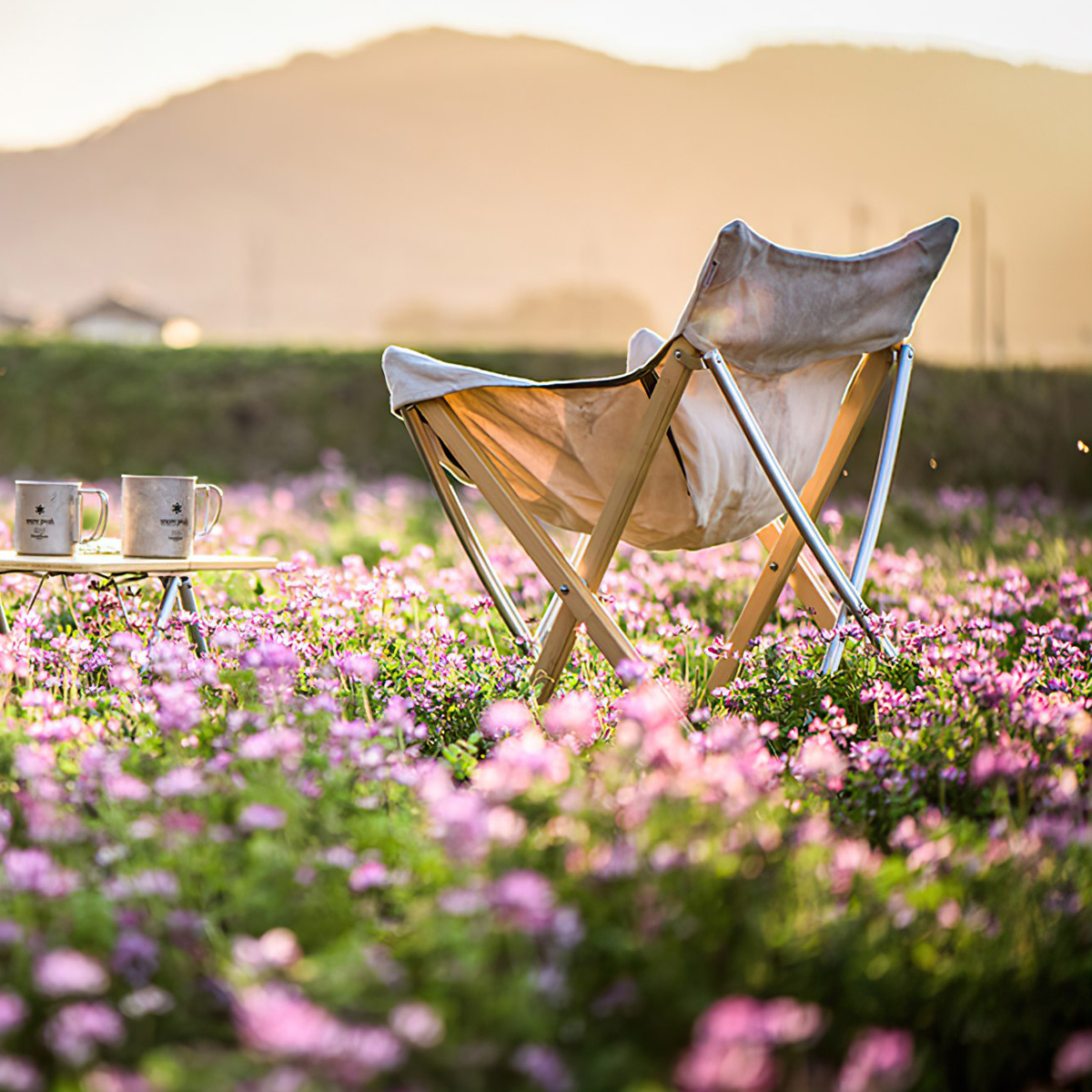 Ghế Gấp Gọn Có Tựa Lưng Cắm Trại Du Lịch Snowpeak Take! Chair