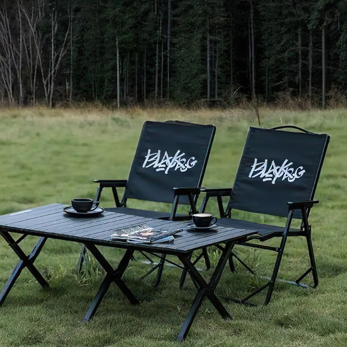 Ghế Gấp Tựa Lưng cắm trại BlackDog CBD2300JJ010