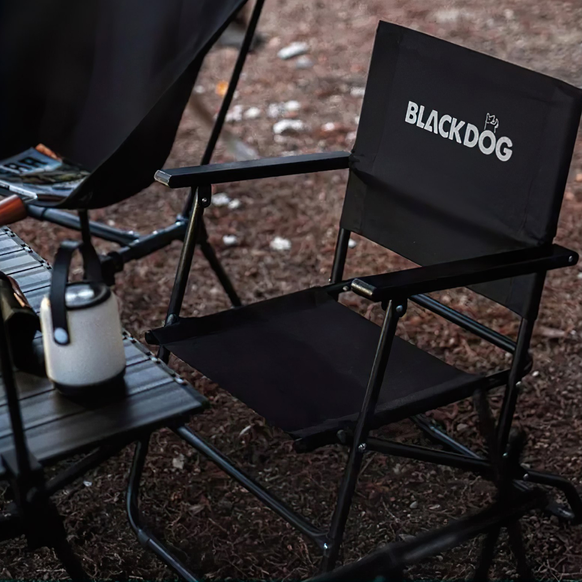Ghế Xếp Cắm Trại Du Lịch Blackdog Folding Chair