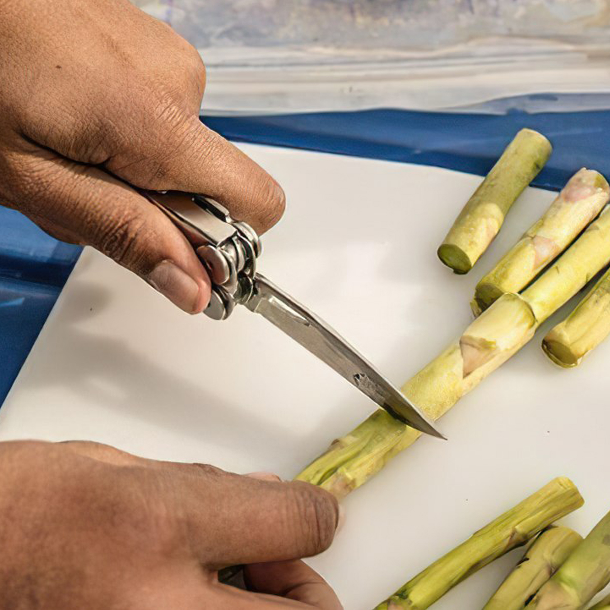 Leatherman CURL® Kiềm Đa Năng Cắm Trại