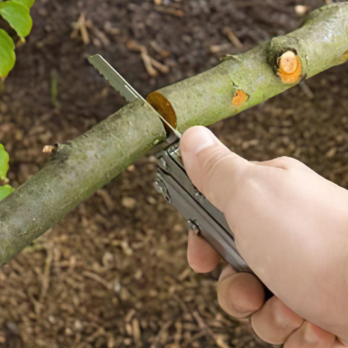 Kìm Đa Năng Cắm Trại SOG Powerlock EOD V-Cutter Satin Polish / Black Oxide