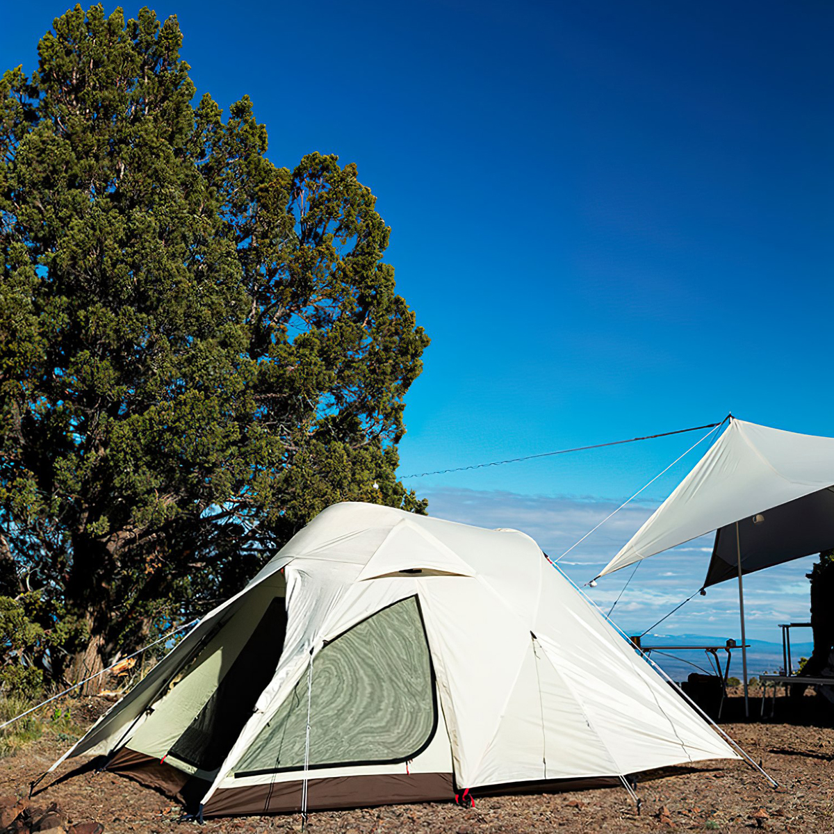 Snowpeak Alpha Breeze Sd-480-Iv-Us Lều Cắm Trại Chống Thấm Nước, Xử Lý Cắt Tia UV, Chống Cháy 68D